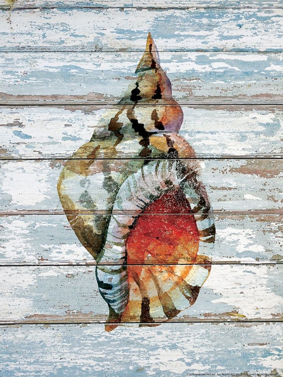 Seashell 2 Poster Print by Inc. Nobleworks - Item # VARPDXNOB191